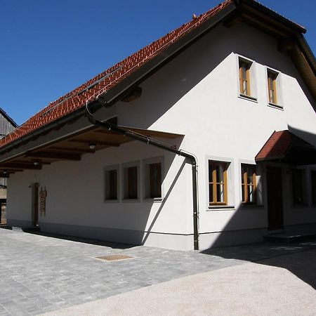 Apartments Vrdjan Cerknica Exterior photo