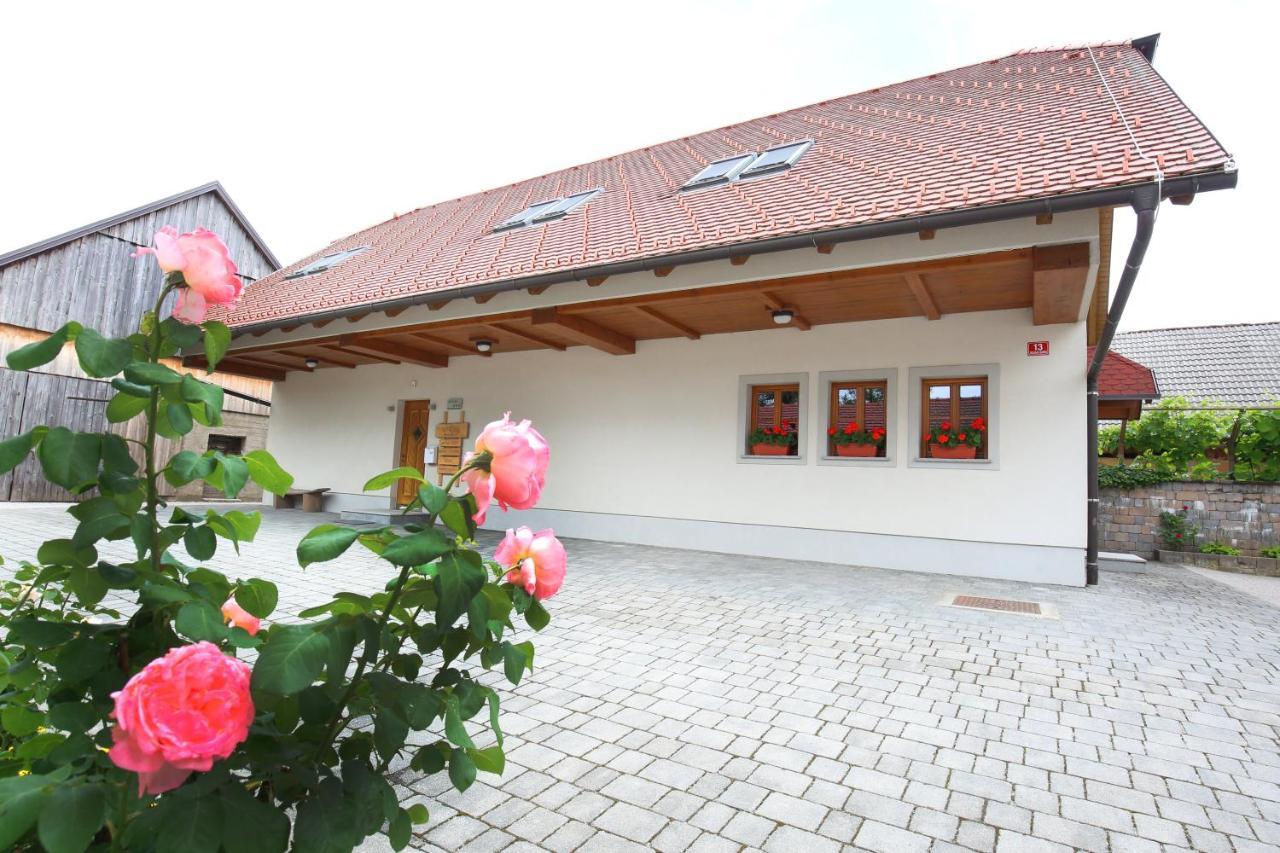 Apartments Vrdjan Cerknica Exterior photo